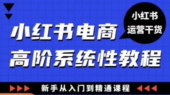 小红书电商高阶系统教程，新手从入门到精通系统课-天天项目库