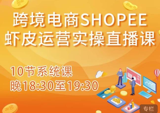 跨境电商Shopee虾皮运营实操直播课，从零开始学，入门到精通（10节系统课）-天天项目库