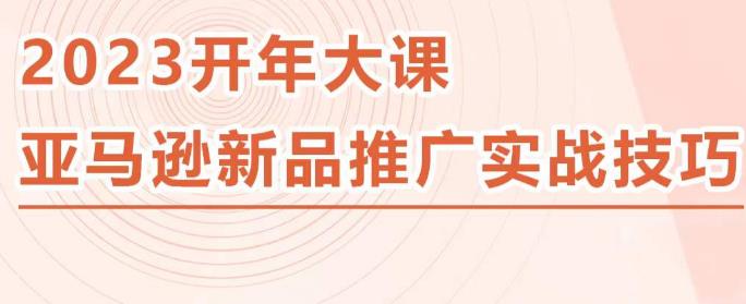 2023亚马逊新品推广实战技巧，线下百万美金课程的精简版，简单粗暴可复制，实操性强的推广手段-天天项目库