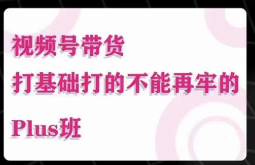 大播汇·视频号带货Puls班，视频号底层逻辑，起号自然流鱼塘等玩法-天天项目库