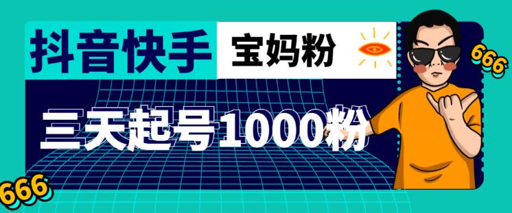 抖音快手三天起号涨粉1000宝妈粉丝的核心方法【详细玩法教程】-天天项目库