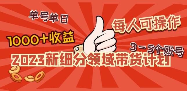 2023新细分领域带货计划：单号单日1000+收益不难，每人可操作3-5个账号-天天项目库