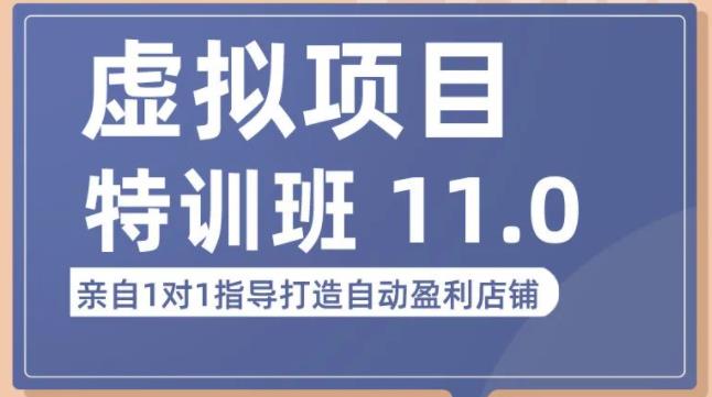 陆明明·虚拟项目特训班（10.0+11.0），0成本获取虚拟素材，0基础打造自动盈利店铺-天天项目库