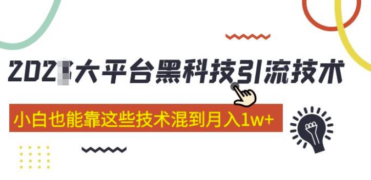 大平台黑科技引流技术，小白也能靠这些技术混到月入1w+(2022年的课程）-天天项目库