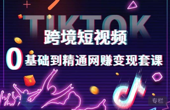 跨境短视频TIKTOK 0基础到精通网赚变现套课，跨境短视频独立站带货变现技巧-天天项目库