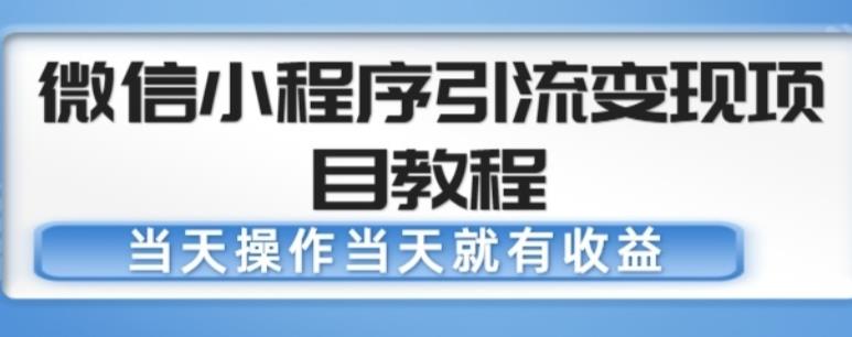 微信小程序引流变现项目教程，当天操作当天就有收益，变现不再是难事-天天项目库