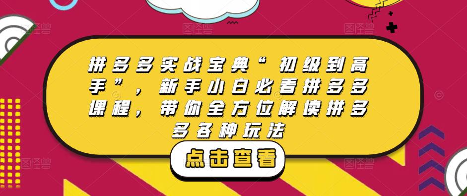 拼多多实战宝典“初级到高手”，新手小白必看拼多多课程，带你全方位解读拼多多各种玩法-天天项目库