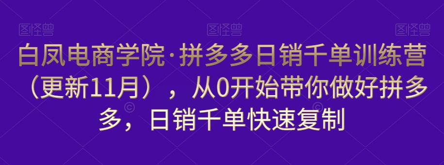 白凤电商学院·拼多多日销千单训练营，从0开始带你做好拼多多，日销千单快速复制（更新知2023年3月）-天天项目库