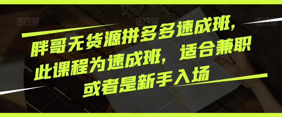 胖哥无货源拼多多速成班，此课程为速成班，适合兼职或者是新手入场-天天项目库