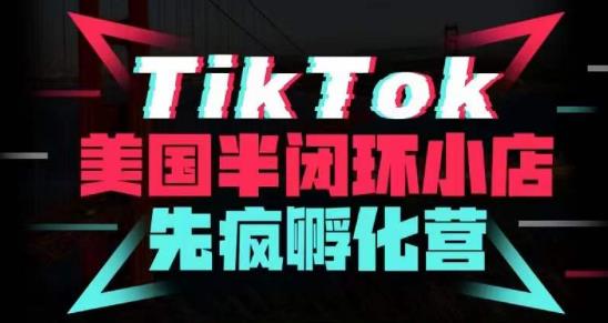 疯人院·TikTok美国半闭环小店孵化营，抢占TikTok美国蓝海市场，开店、运营、带货、投流全实操-天天项目库