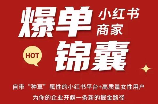 无畏·小红书商家爆单锦囊，掌握小红书各大规则，快速精准抢占行业和市场-天天项目库