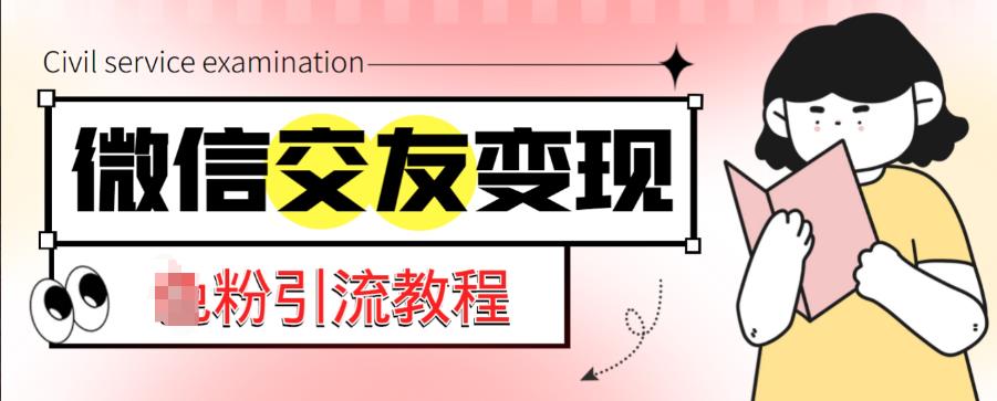 微信交友变现项目，吸引全网LSP男粉精准变现，小白也能轻松上手，日入500+-天天项目库