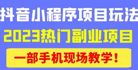 抖音小程序9.0新技巧，2023热门副业项目，动动手指轻松变现-天天项目库