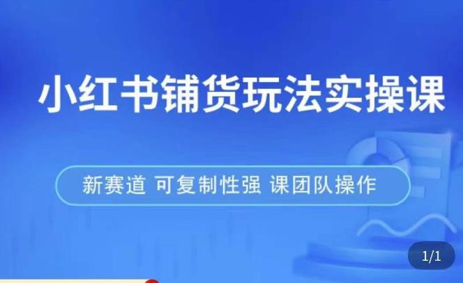 小红书铺货玩法实操课，流量大，竞争小，非常好做，新赛道，可复制性强，可团队操作-天天项目库