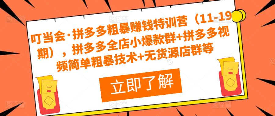 叮当会·拼多多粗暴赚钱特训营（11-19期），拼多多全店小爆款群+拼多多视频简单粗暴技术+无货源店群等-天天项目库