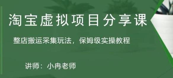 淘宝虚拟整店搬运采集玩法分享课：整店搬运采集玩法，保姆级实操教程-天天项目库