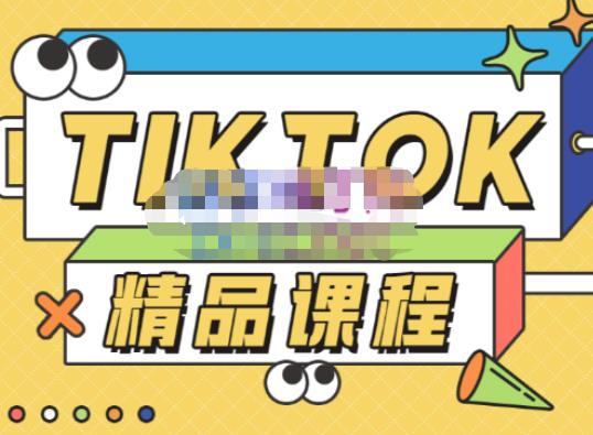 电商孵化中心·TikTok精品课程，教你玩转海外抖音，低成本创业，带您从0开始玩转TikTok-天天项目库