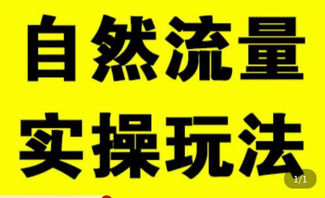 拼多多自然流量天花板，拼多多自然流的实操玩法，自然流量是怎么来的，如何开车带来自然流等知识-天天项目库