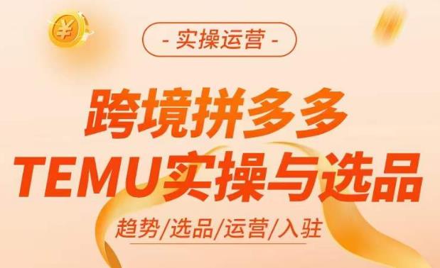 跨境拼多多TEMU实操与选品，​掌握平台运营方法技巧，选品避坑12条标准，爆款的底层思路等-天天项目库