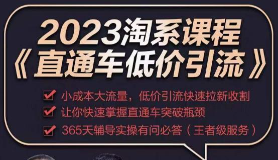 2023直通车低价引流玩法课程，小成本大流量，低价引流快速拉新收割，让你快速掌握直通车突破瓶颈-天天项目库