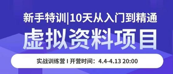 虚拟资料项目新手特训，10天从入门到精通，保姆级实操教学-天天项目库