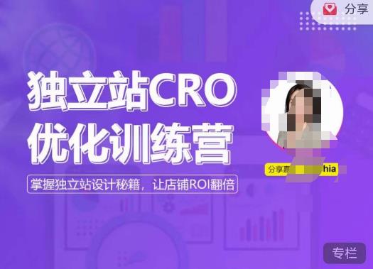 独立站CRO优化训练营，掌握独立站设计秘籍，打造高转化的独立站，让店铺ROI翻倍-天天项目库