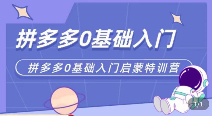 六一电商·拼多多运营0-1实操特训营，拼多多从基础到进阶的可实操玩法-天天项目库