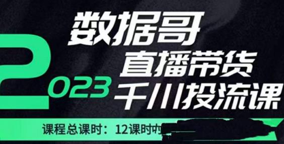 数据哥2023直播电商巨量千川付费投流实操课，快速掌握直播带货运营投放策略-天天项目库