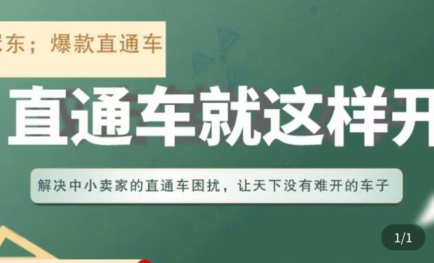 冠东·淘系直通车保姆级教程，全面讲解直通车就那么简单-天天项目库