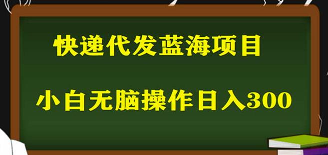 2023最新蓝海快递代发项目，小白零成本照抄也能日入300+-天天项目库