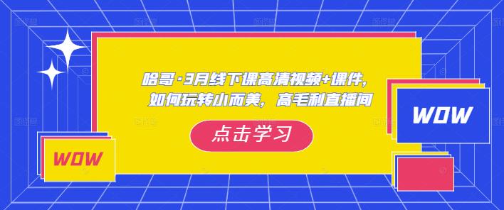 哈哥·3月线下实操课高清视频+课件，如何玩转小而美，高毛利直播间-天天项目库