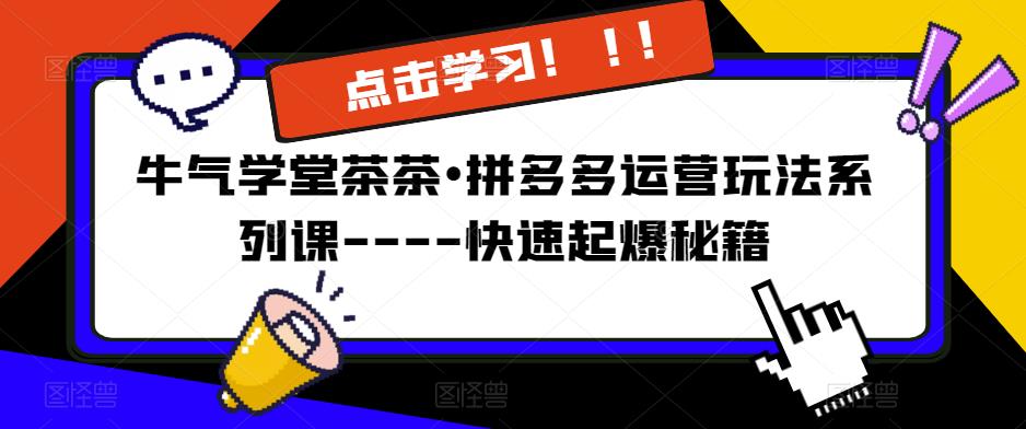 牛气学堂茶茶•拼多多运营玩法系列课—-快速起爆秘籍【更新】-天天项目库