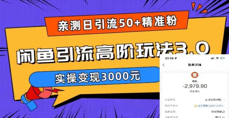 亲测日引50+精准粉，闲鱼引流高阶玩法3.0，实操变现3000元【揭秘】-天天项目库