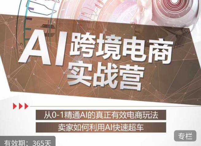 白龙老师·AI跨境电商实战营：从0-1精通Al的真正有效电商玩法，卖家如何利用Al快速超车-天天项目库