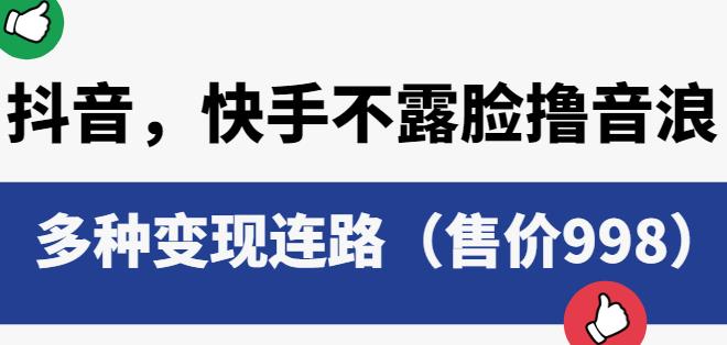 抖音快手不露脸撸音浪项目，多种变现连路（售价998）-天天项目库