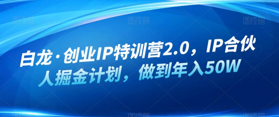 白龙·创业IP特训营2.0，IP合伙人掘金计划，做到年入50W-天天项目库