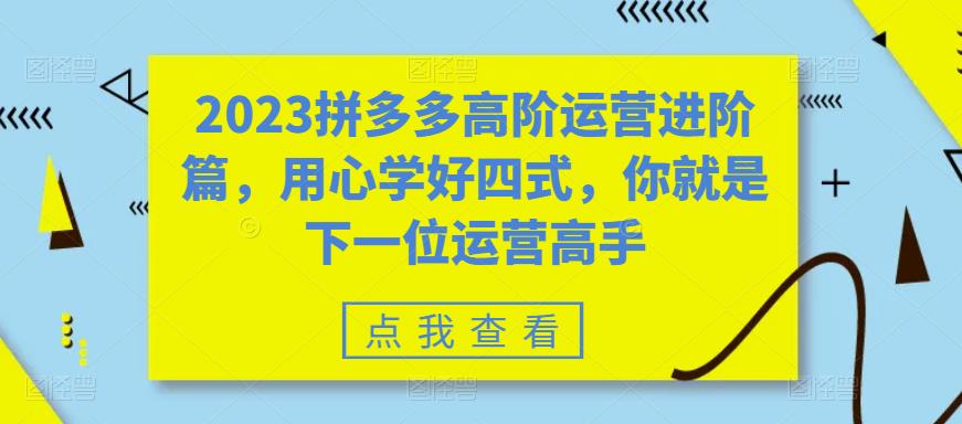 2023拼多多高阶运营进阶篇，用心学好四式，你就是下一位运营高手-天天项目库