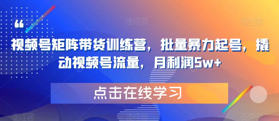 视频号矩阵带货训练营，批量暴力起号，撬动视频号流量，月利润5w+-天天项目库