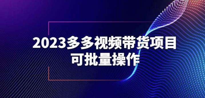 2023多多视频带货项目，可批量操作【保姆级教学】【揭秘】-天天项目库