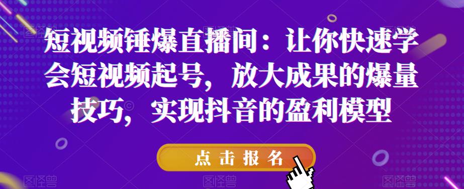 短视频锤爆直播间：让你快速学会短视频起号，放大成果的爆量技巧，实现抖音的盈利模型-天天项目库