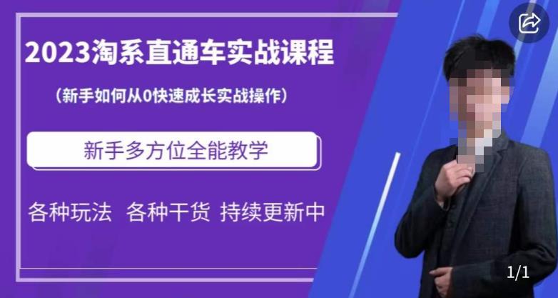 2023淘系直通车保姆式运营讲解，新手如何从0快速成长实战操作，新手多方位全能教学-天天项目库