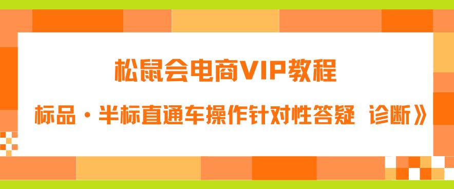 松鼠会电商VIP教程：松鼠《付费推广标品·半标直通车操作针对性答疑&诊断》-天天项目库