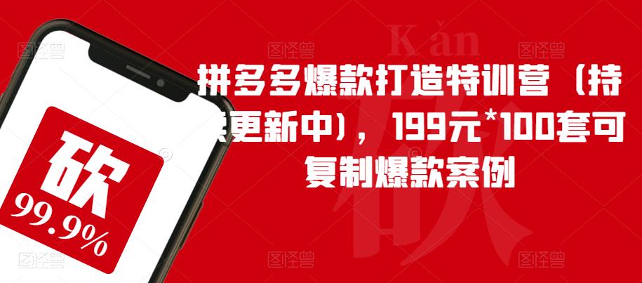 拼多多爆款打造特训营（持续更新中)，199元*100套可复制爆款案例-天天项目库