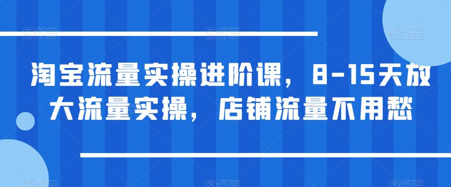 淘宝流量实操进阶课，8-15天放大流量实操，店铺流量不用愁-天天项目库