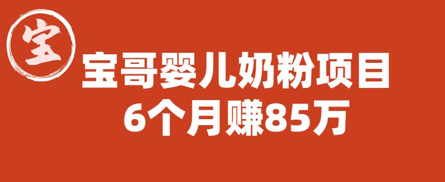 宝哥婴儿奶粉项目，6个月赚85w【图文非视频】【揭秘】-天天项目库