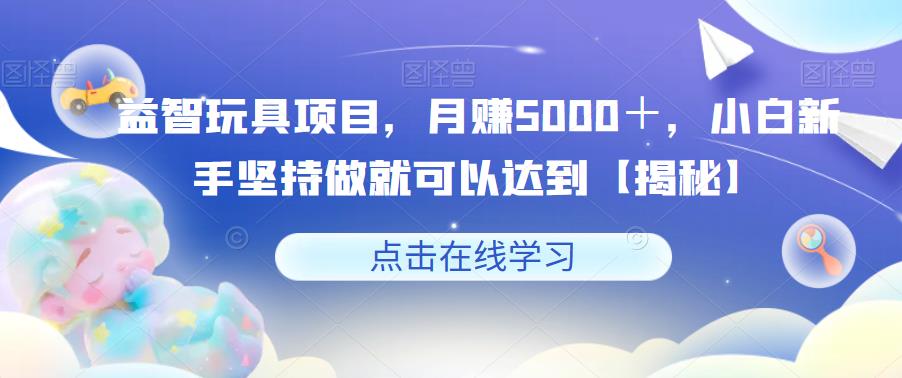 益智玩具项目，月赚5000＋，小白新手坚持做就可以达到【揭秘】-天天项目库