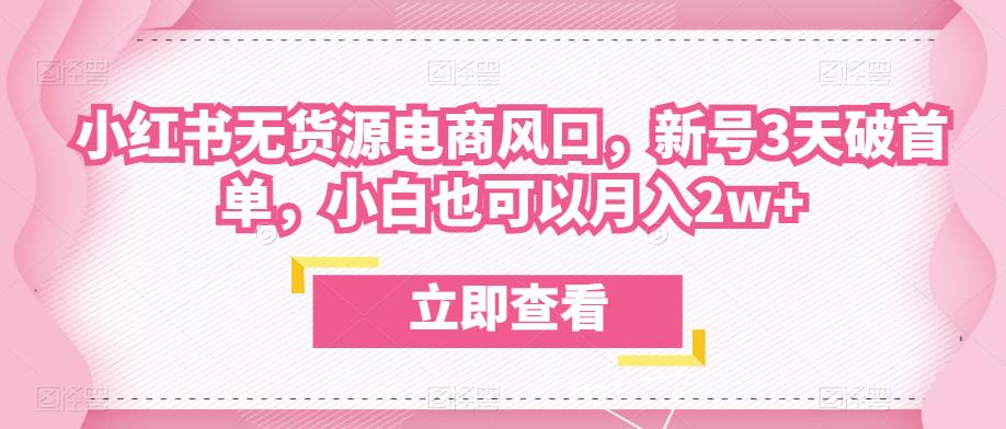 众狼电商余文小红书无货源电商风口，新号3天破首单，小白也可以月入2w+-天天项目库