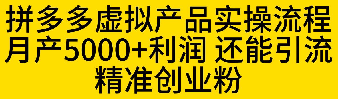 拼多多虚拟产品实操流程，月产5000+利润，还能引流精准创业粉【揭秘】-天天项目库