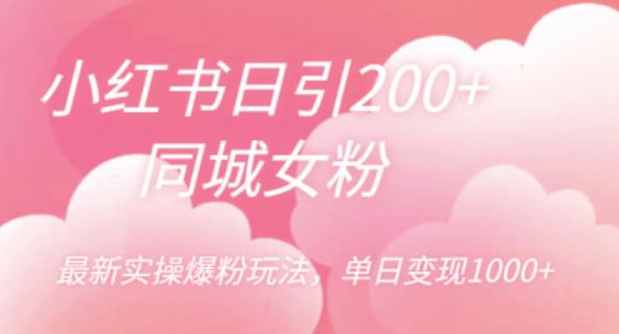 小红书日引200+同城女粉，最新实操爆粉玩法，单日变现1000+【揭秘】-天天项目库