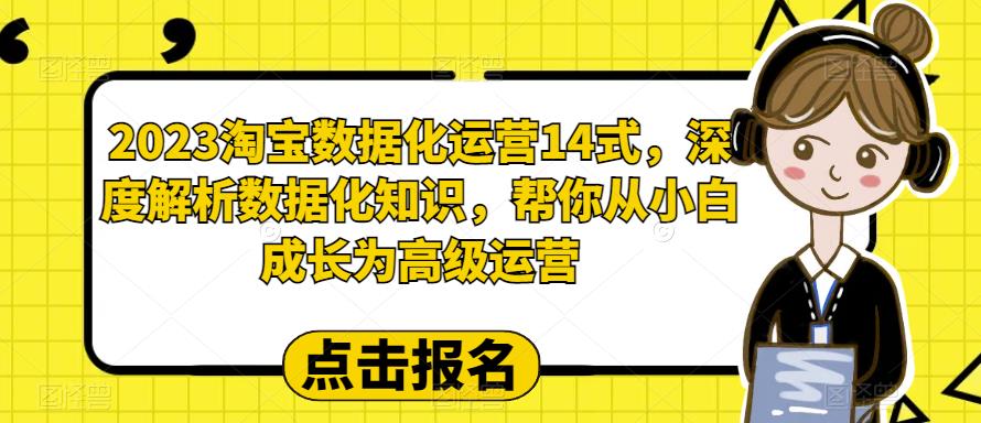 2023淘宝数据化运营14式，深度解析数据化知识，帮你从小白成长为高级运营-天天项目库